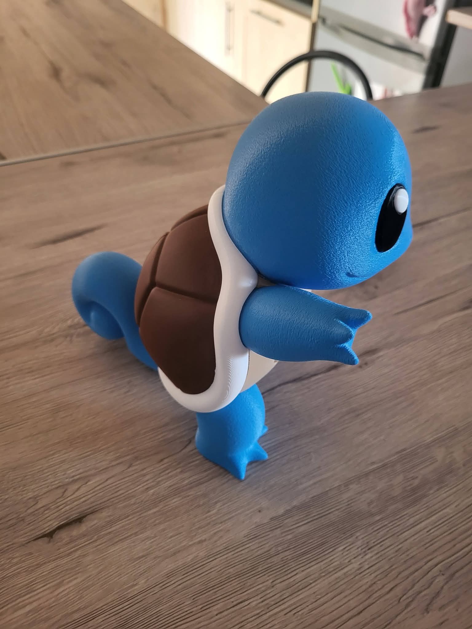Impression 3D Carapuce